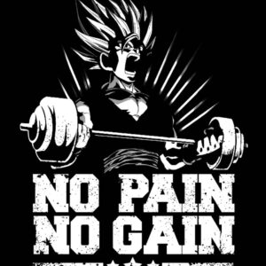 Motivational Gym Poster Print #nopainnogain