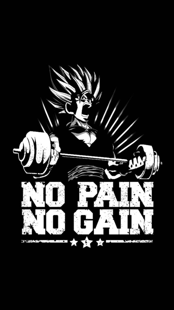 Motivational Gym Poster Print #nopainnogain